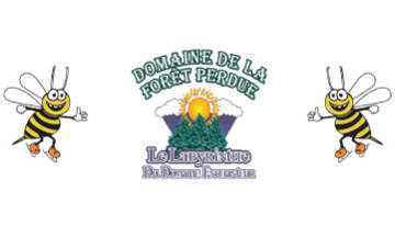 Le Domaine de la For&ecirc;t Perdue