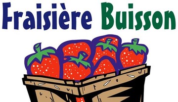 Fraisi&egrave;re Buisson